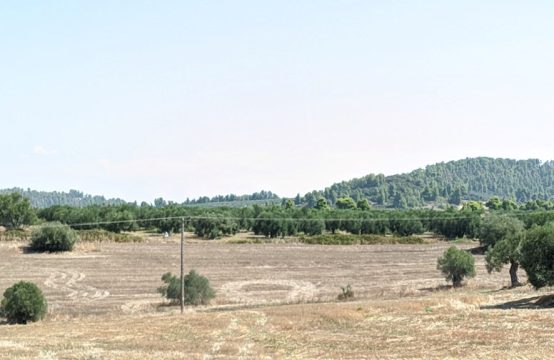 Arsa 4000 m² Kassandra’da (Chalkidiki)