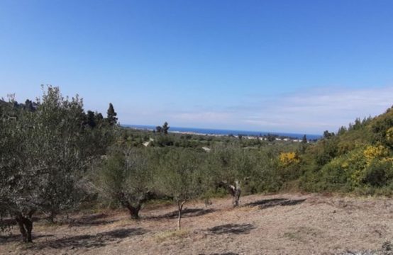 Arsa 2500 m² Kassandra’da (Chalkidiki)