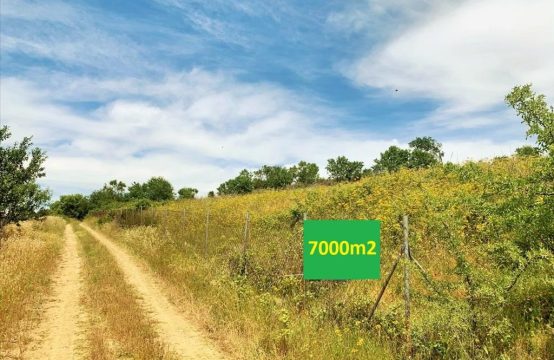 Arsa 7000 m² Selanik çevresinde