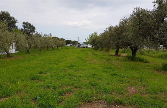 Arsa 1350 m² Athos’da (Chalkidiki)