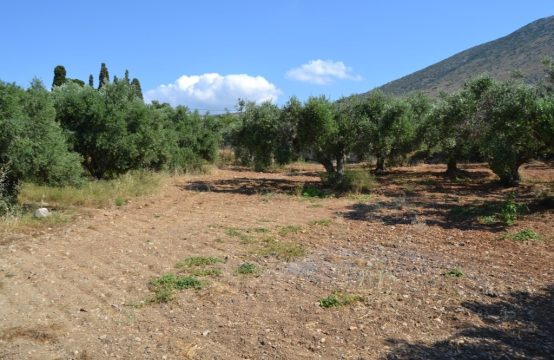 Arsa 3500 m² Girit’te