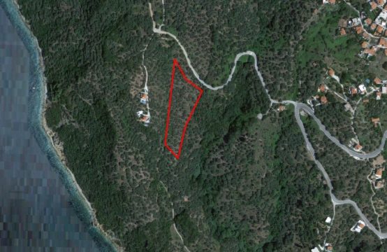 Arsa 6000 m² Sporades’de