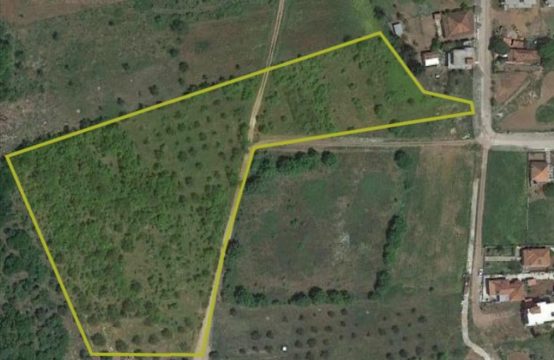 Arsa 16500 m² Batı Peloponez’te