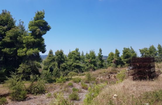 Arsa 11000 m² Kassandra’da (Chalkidiki)