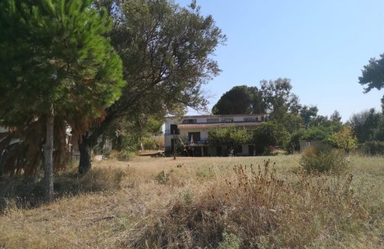 Arsa 3650 m² Kassandra’da (Chalkidiki)