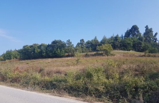 Arsa 8000 m² Kassandra’da (Chalkidiki)