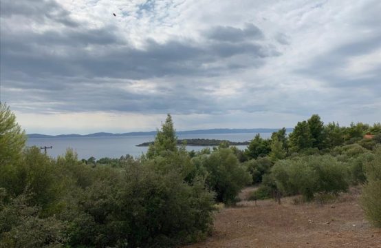 Arsa 12458 m² Sithonia’da (Chalkidiki)