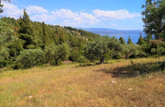 Arsa 5400 m² Sithonia’da (Chalkidiki)