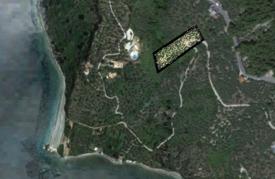 Arsa 4420 m² Sporades’de