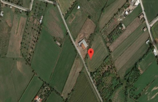 Arsa 6000 m² Merkez Yunanistan’da