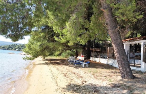 Arsa 1600 m² Sithonia’da (Chalkidiki)