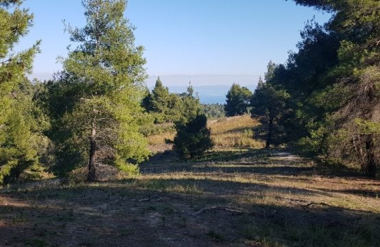 Arsa 3200 m² Kassandra’da (Chalkidiki)