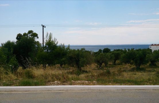 Arsa 5658 m² Sithonia’da (Chalkidiki)