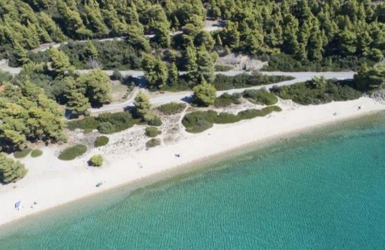 Arsa 4760 m² Sithonia’da (Chalkidiki)