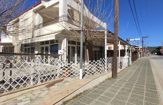 Yatırım, iş 50 m² Sithonia’da (Chalkidiki)