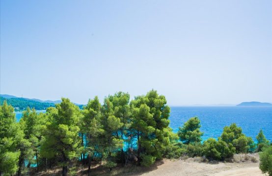 Yatırım, iş 420 m² Sithonia’da (Chalkidiki)