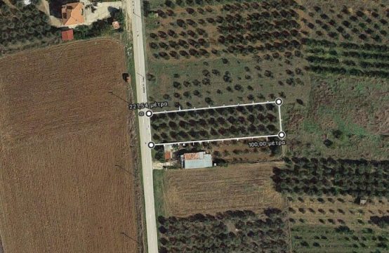 Arsa 1400 m² Chalkidiki’de