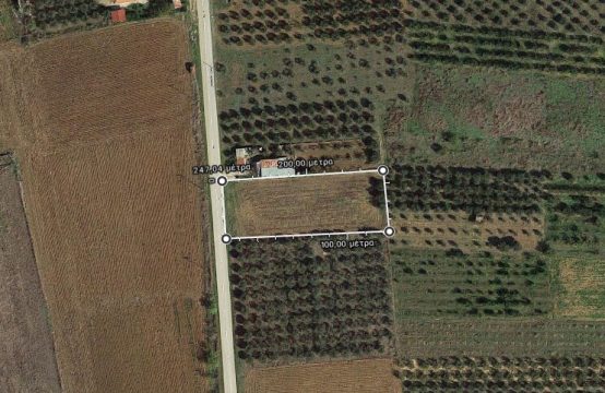 Arsa 3000 m² Chalkidiki’de