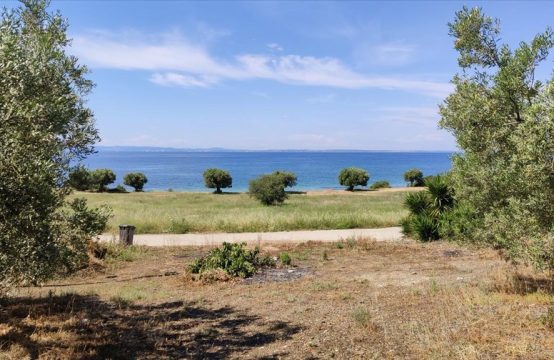 Arsa 13750 m² Sithonia’da (Chalkidiki)