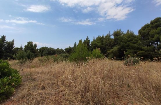 Arsa 4003 m² Sithonia’da (Chalkidiki)