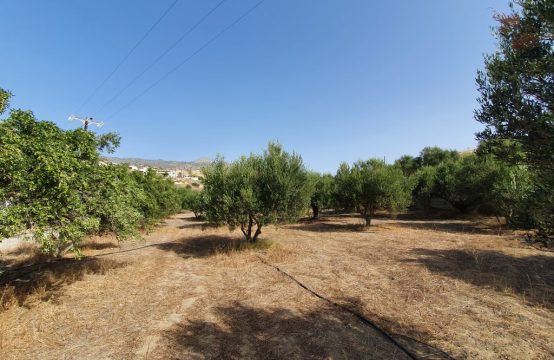 Arsa 1600 m² Girit’te