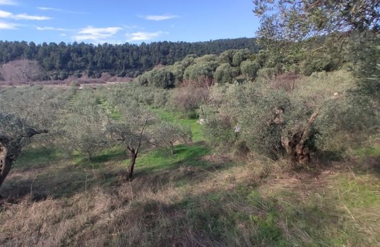 Arsa 14000 m² Sithonia’da (Chalkidiki)