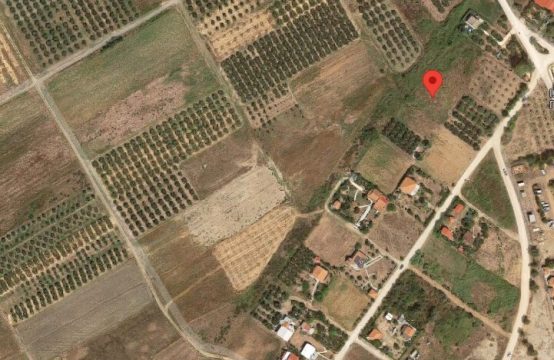 Arsa 1300 m² Chalkidiki’de