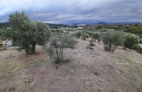 Arsa 4800 m² Sithonia’da (Chalkidiki)