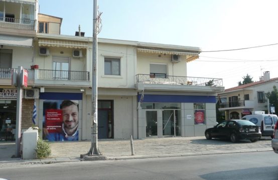 Yatırım, iş 170 m² Selanik çevresinde