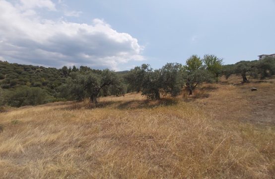 Arsa 10500 m² Sithonia’da (Chalkidiki)