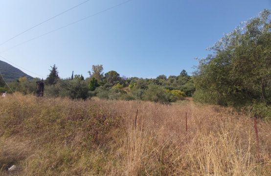 Arsa 6500 m² Korfu’da