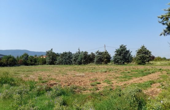 Arsa 4015 m² Chalkidiki’de