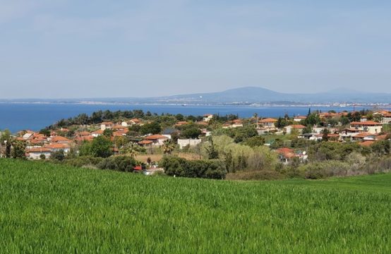 Arsa 10500 m² Chalkidiki’de