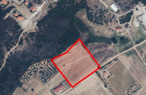 Arsa 13000 m² Athos’da (Chalkidiki)