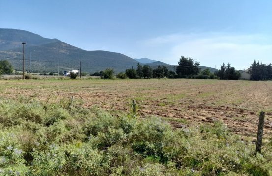 Arsa 5000 m² Chalkidiki’de