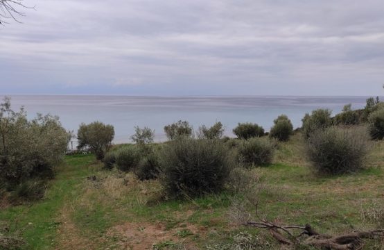 Arsa 1625 m² Chalkidiki’de