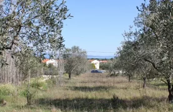 Arsa 17643 m² Sithonia’da (Chalkidiki)