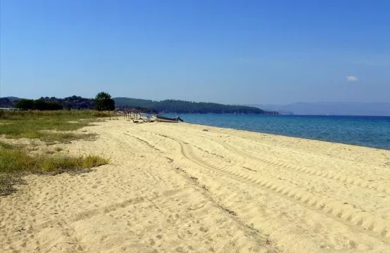 Arsa Athos’da (Chalkidiki)