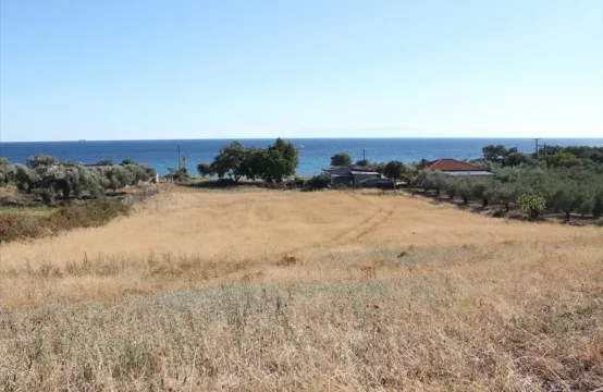 Arsa 7500 m² Kassandra’da (Chalkidiki)