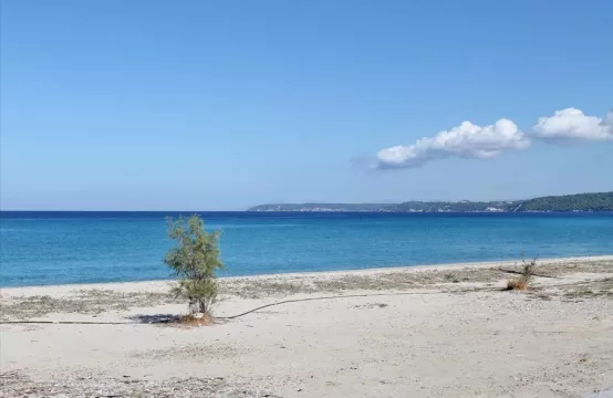 Arsa 18300 m² Kassandra’da (Chalkidiki)