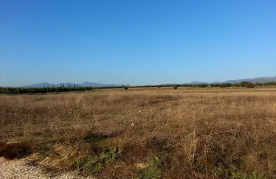 Arsa 16600 m² Sithonia’da (Chalkidiki)