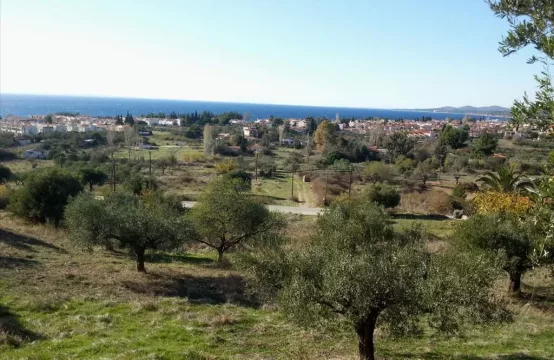 Arsa 5000 m² Sithonia’da (Chalkidiki)