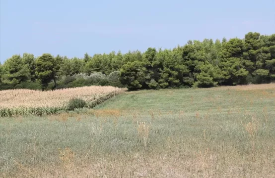 Arsa 36000 m² Kassandra’da (Chalkidiki)