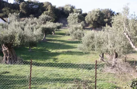 Arsa Kassandra’da (Chalkidiki)