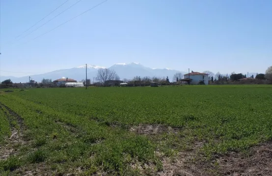 Arsa 4000 m² Pieria’da