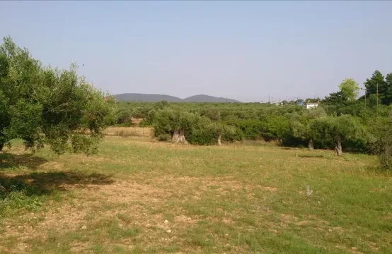 Arsa 4589 m² Sithonia’da (Chalkidiki)